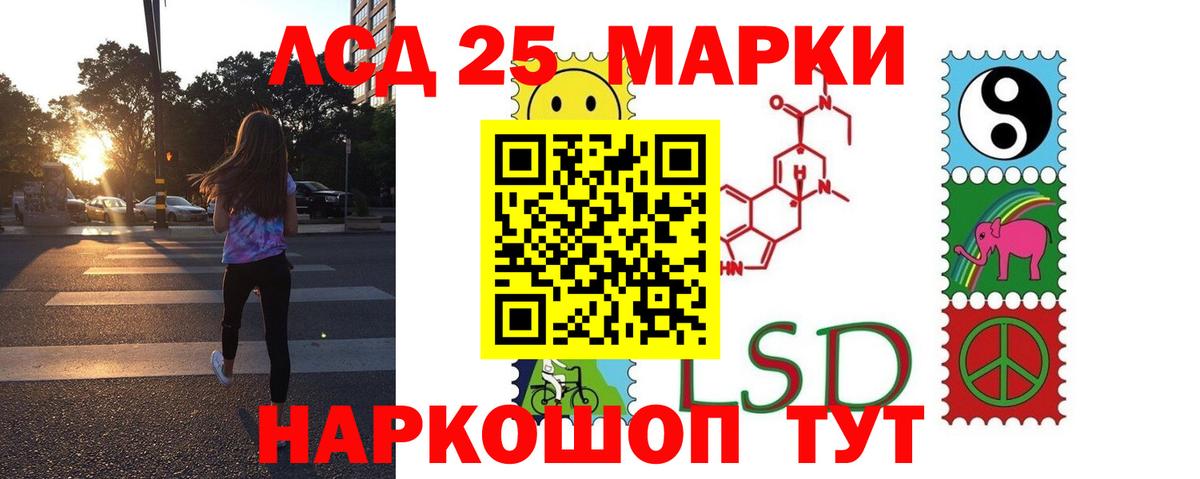LSD-25 экстази кислота  ЛСД экстази кислота  Бердск  Вход с VPN 