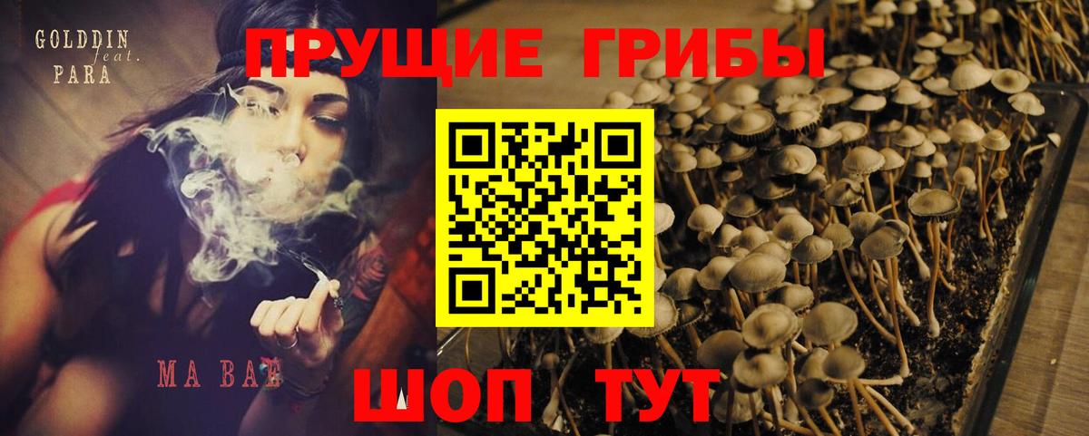 магазин продажи   Галлюциногенные грибы MAGIC MUSHROOMS  Вход с VPN  Бердск  Псилоцибиновые грибы мухоморы 